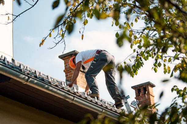 Best Metal Roofing Contractor  in Tipp City, OH